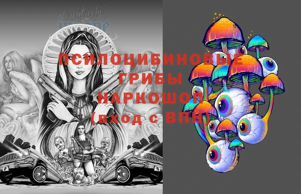 ПСИЛОЦИБИНОВЫЕ ГРИБЫ Арсеньев