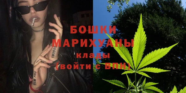 ПСИЛОЦИБИНОВЫЕ ГРИБЫ Арсеньев