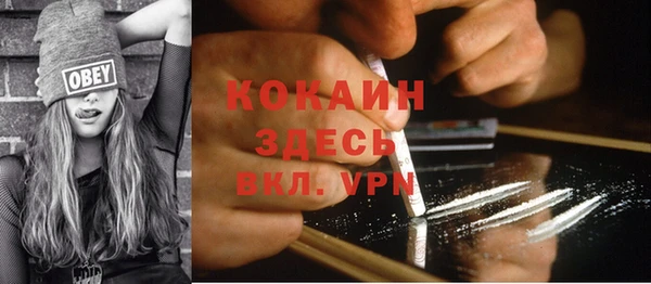 ПСИЛОЦИБИНОВЫЕ ГРИБЫ Арсеньев