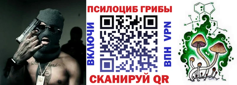 где купить   Удачный  Псилоцибиновые грибы GOLDEN TEACHER 